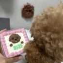 메리앤래리 이미지