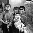 골목대장