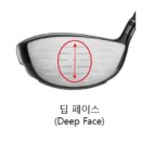 딥페이스디자인