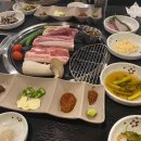 (주)노랑댕댕이 이미지