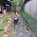정이용소