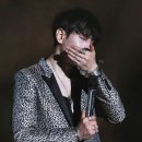 니피 이미지