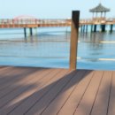 고래한입피자속초점 이미지