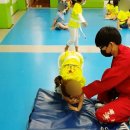 늘푸른태권스쿨 이미지