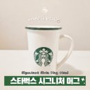 스타벅스 시그니처 사이렌 머그 내돈내산 후기｜심플해서 오래 쓰는 데일리 머그