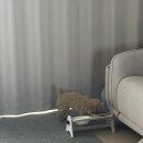 the 예쁘개 이미지