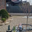 달그림고운 이미지