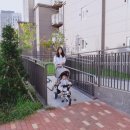 묵호주유소 이미지