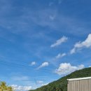 코코앤망고 이미지