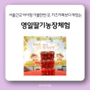 영일농장 | 서울근교 아이랑 가볼만한 곳_키즈카페보다 재미있는 딸기농장체험
