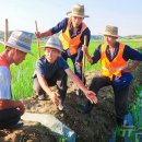 만흥농장 이미지