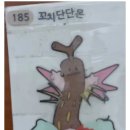 포켓몬 빵 스티커에서 잡몹만 나와서 빡친 사람이 저지른 만행...jpg 이미지