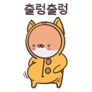 출근길 강아지 유치원 이미지