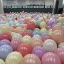 석사 경희대 태권도장 이미지