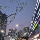 비산1동 행정복지센터 앞 네이버블로그