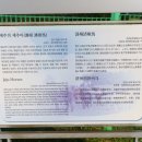 제주의 제주마 이미지