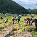 화촌면행정복지센터 이미지