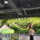 중앙2사슴 | 서울 아이와 가볼만한곳 서울숲 곤충식물원 및 사슴방사장 주차 꿀팁