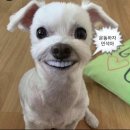 세븐일레븐 동대문 휘경로점 | 지소쿠리클럽