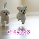 우리국수 - 울주군 남창장터길 7 | 우리국수