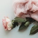 울산전문장례식장상조