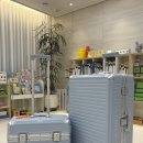 (주)실버쉴드 | 리드볼트 오딧 플랩 기내용 캐리어 20인치 솔티블루 내돈 내산 사용 후기 찐 추천하는 이유
