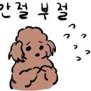 커피허브나무 이미지