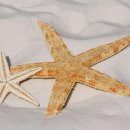 양산역 환승센터 이미지