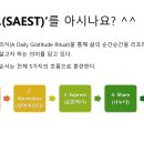세스트