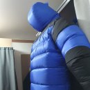 필프렌즈