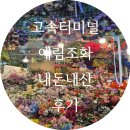 예림 | 웨딩촬영 가성비 조화 부케 예림조화 내돈내산 후기 및 촬영 후기ㅣ위치, 연락처, 가격 공유