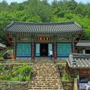 도림사계곡 이미지