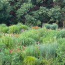 세븐가든 이미지