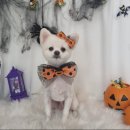 뚜니살롱 이미지