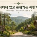 생활권12 | 흥부골 자연휴양림 예약부터 동선까지, 내가 가보니 뭐가 편했을까