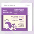 플레이펫 이미지