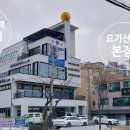 요가산책