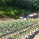 썬공인중개사합동사무소 이미지