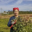 원일농장 이미지