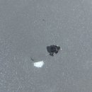 워시랩셀프세차타운 이미지