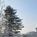 애기봉 평화생태공원 이미지