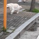 시흥은행초등학교 이미지