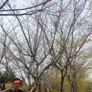 삼송농원 이미지