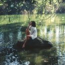 화이트부러쉬 이미지