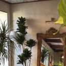 호텔오브솔트 | 강릉맛집 :: 강릉 분위기 좋은 양식 맛집 &#34;호텔오브솔트&#34; 솔직후기 (+ 내돈내산, 메뉴추천)