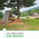 하동목장 | 아이와 가볼만한곳 체험후기, 하동 해뜰목장