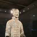 시안 이미지