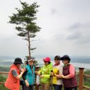 사랑이네 구제 이미지