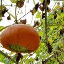 흥해서부초등학교 이미지