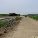 모슬포고등어 이미지